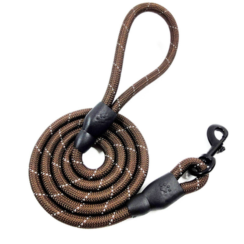 Training- Leashes