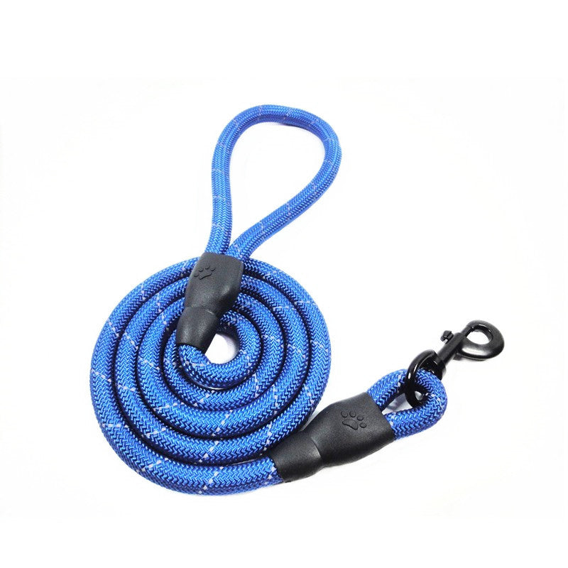 Training- Leashes