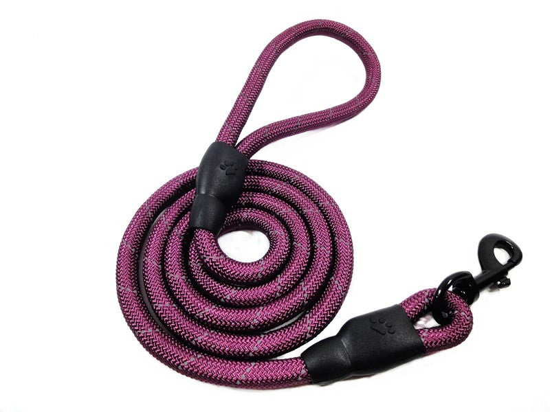 Training- Leashes