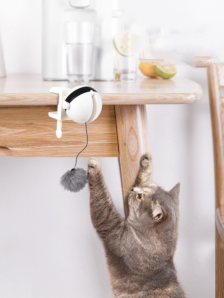 Electric Cat Toy