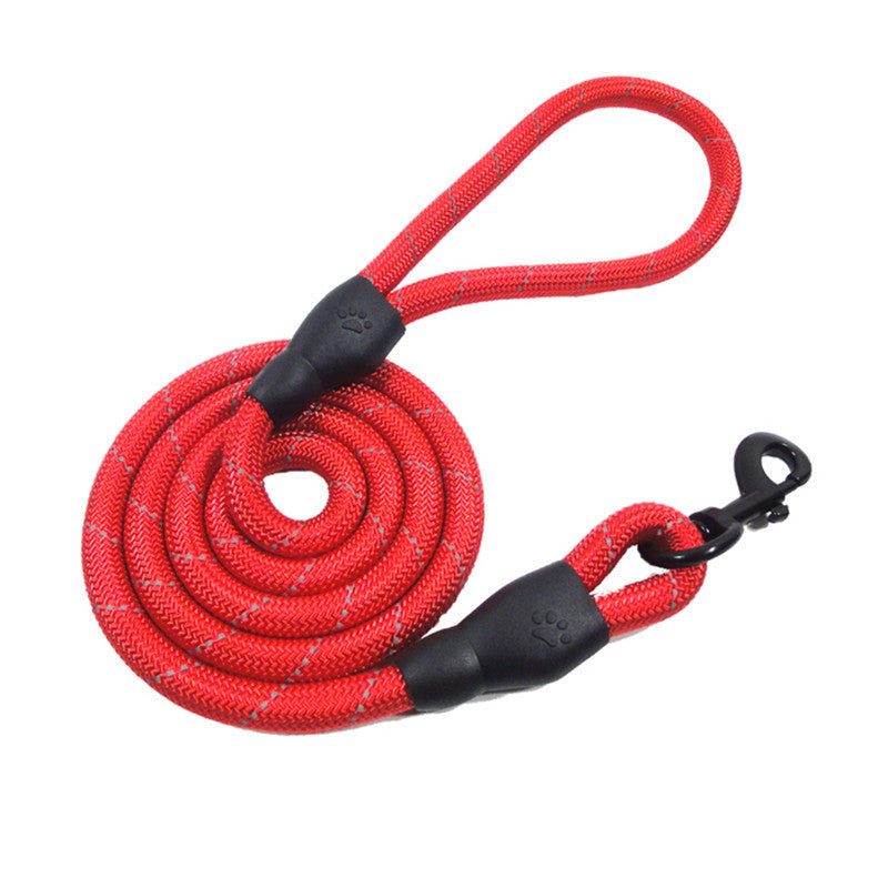 Training- Leashes