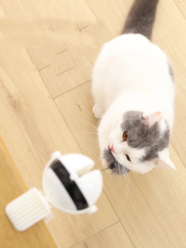 Electric Cat Toy