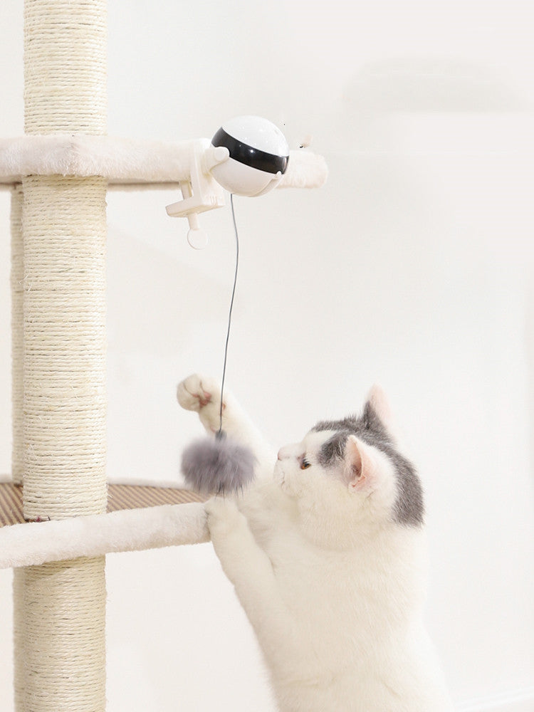 Electric Cat Toy