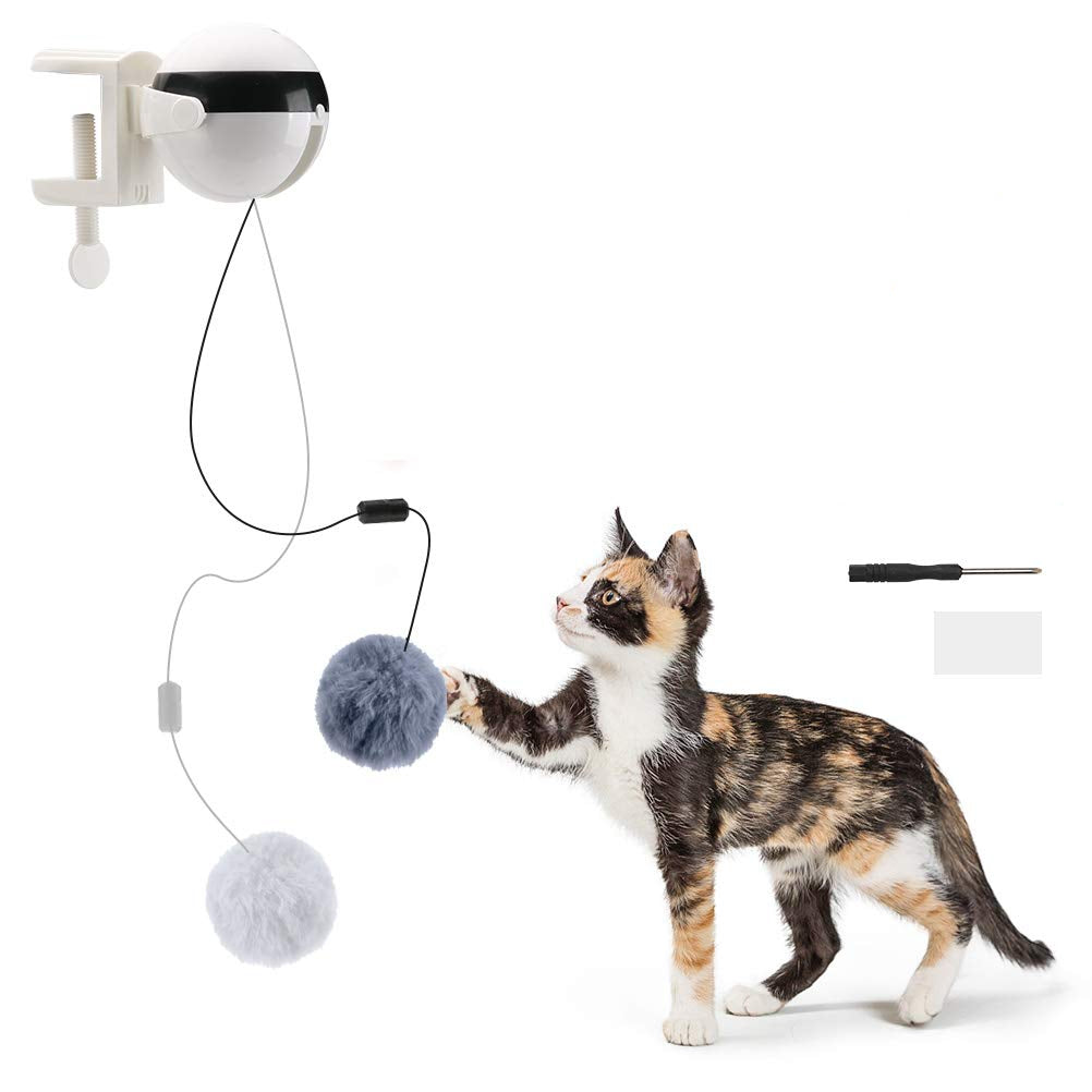 Electric Cat Toy