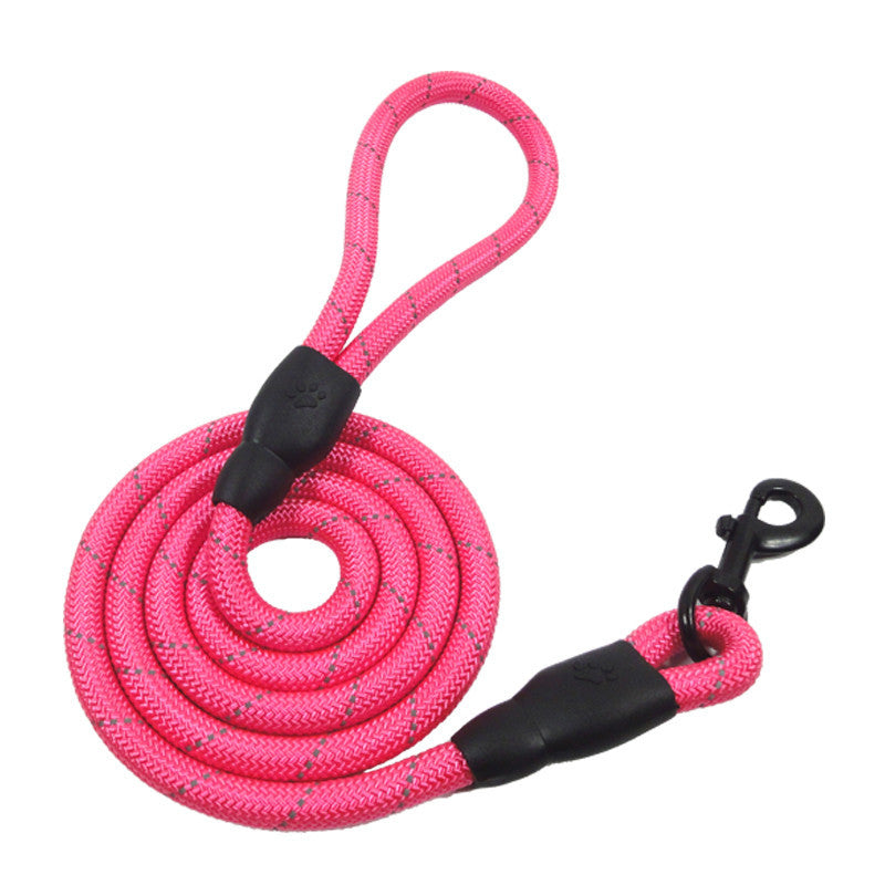 Training- Leashes