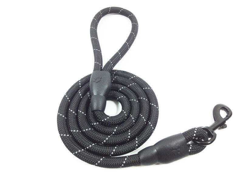 Training- Leashes