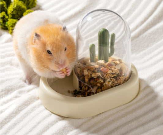 Hamster Automatic Feeder