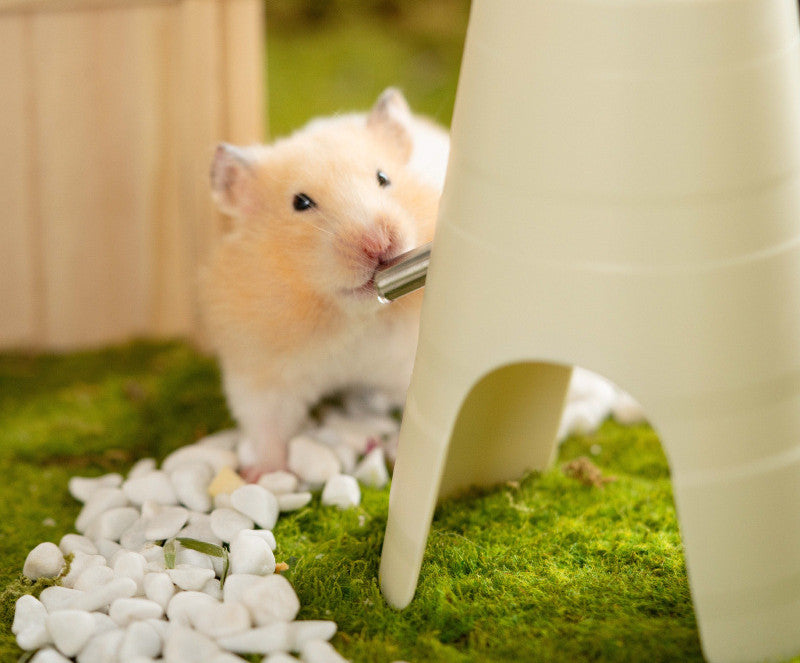 Hamster Water Bottle