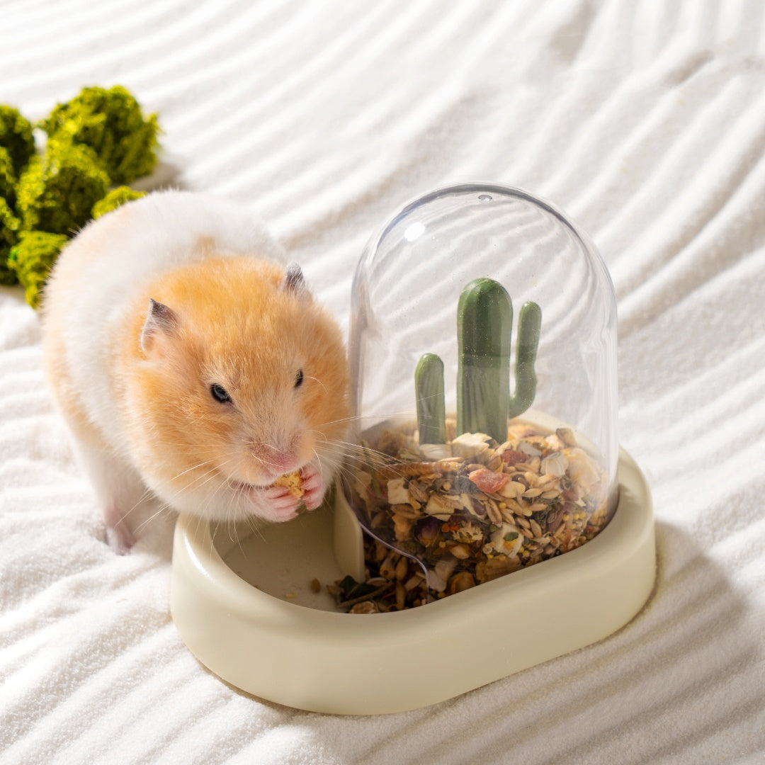 Hamster Automatic Feeder